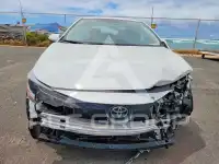2023 Toyota COROLLA фото