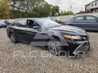 2023 Toyota CAMRY фото