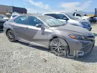 2023 Toyota CAMRY photo