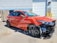 2023 KIA Forte фото