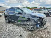 2023 KIA Sportage фото