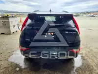 2023 KIA Niro photo