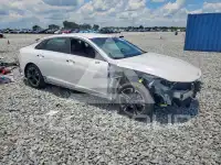 2023 KIA K5 фото