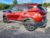 2023 KIA Seltos photo