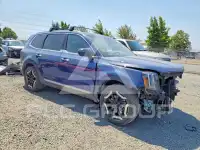 2023 KIA Telluride photo