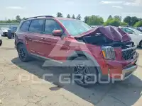2023 KIA Telluride photo