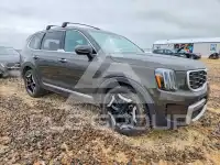 2023 KIA Telluride фото