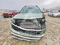 2023 KIA Telluride фото