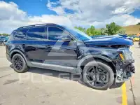 2023 KIA Telluride фото