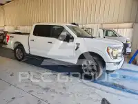 2023 Ford F-150 фото