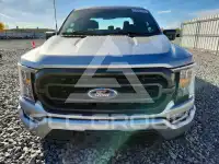 2023 Ford F-150 photo