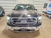 2023 Ford F-150 photo