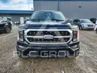 2023 Ford F-150 photo