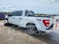2023 Ford F-150 photo