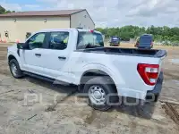 2023 Ford F-150 photo