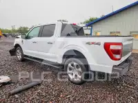 2023 Ford F-150 photo