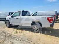 2023 Ford F-150 photo