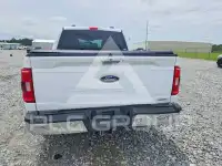2023 Ford F-150 photo