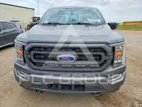 2023 Ford F-150 фото