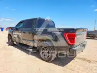 2023 Ford F-150 фото