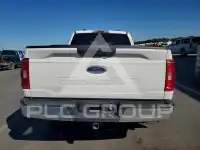 2023 Ford F-150 фото