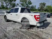 2023 Ford F-150 фото