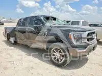 2023 Ford F-150 photo