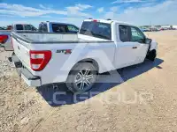 2023 Ford F-150 photo