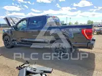 2023 Ford F-150 photo