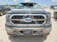 2023 Ford F-150 photo