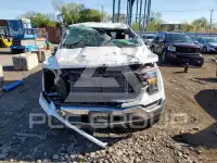 2023 Ford F-150 фото
