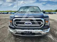 2023 Ford F-150 фото