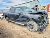 2023 Ford F-150 фото