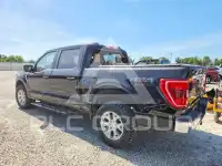 2023 Ford Other фото