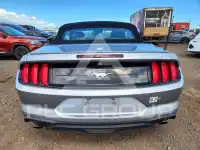 2023 Ford MUSTANG photo
