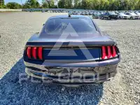 2023 Ford MUSTANG photo