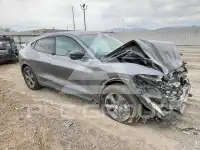 2023 Ford MUSTANG photo