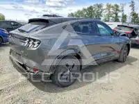 2023 Ford MUSTANG photo