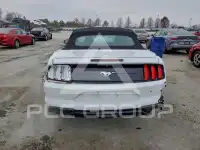 2023 Ford MUSTANG photo