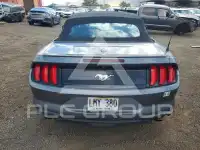 2023 Ford MUSTANG photo