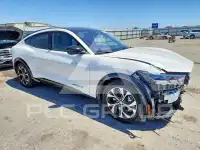 2023 Ford MUSTANG фото