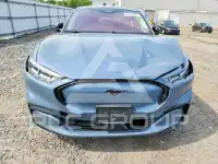 2023 Ford MUSTANG фото