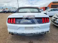 2023 Ford MUSTANG photo