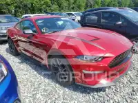 2023 Ford MUSTANG фото