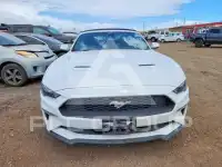2023 Ford MUSTANG photo
