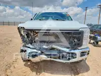 2023 Ford F-250 фото