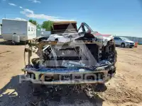 2023 Ford F-250 фото