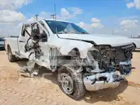 2023 Ford F-250 фото