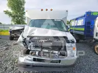 2023 Ford ECONOLINE фото