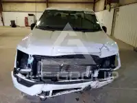 2023 Ford F-150 photo